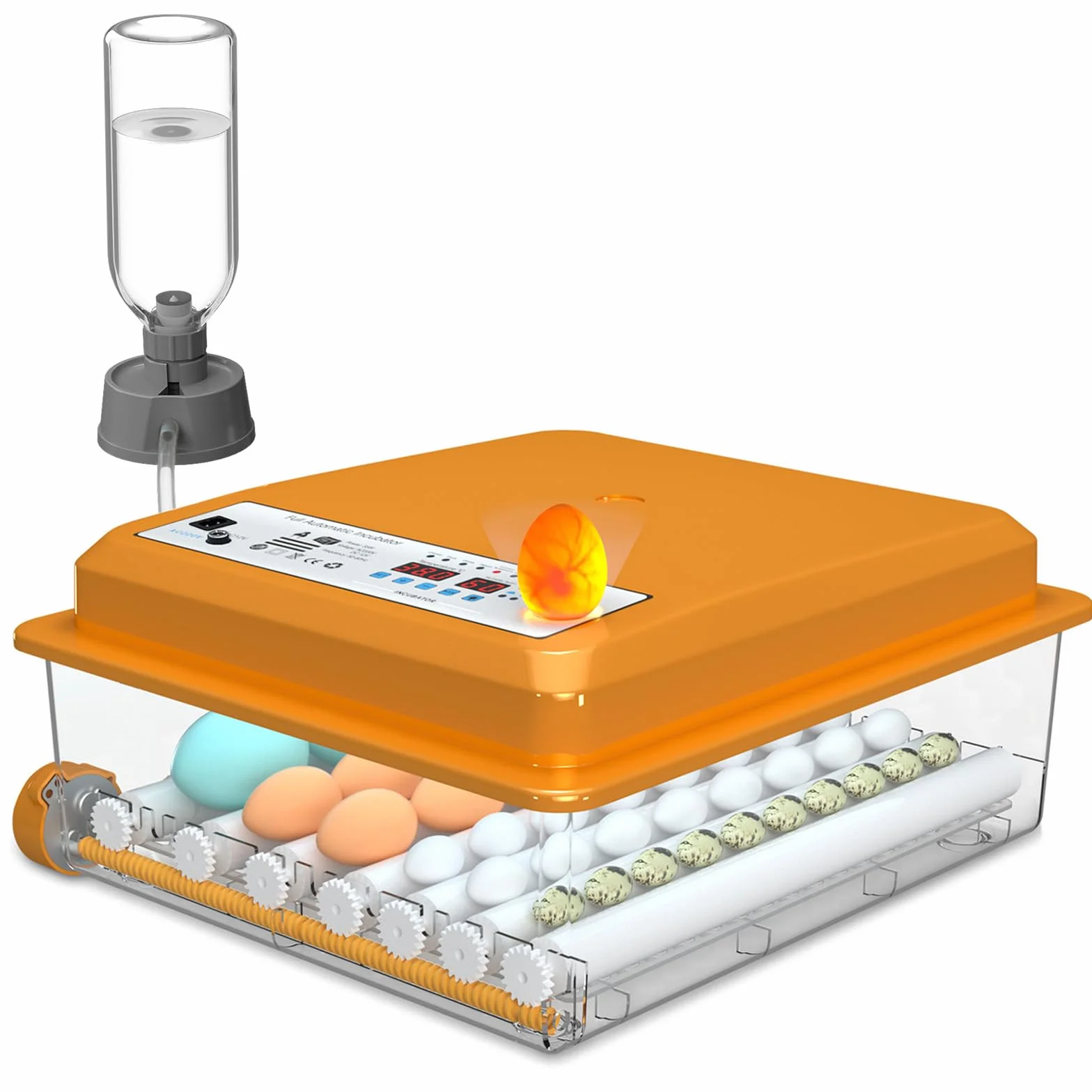 Brutautomat Vollautomatisch 36 Eier mit Temperaturregelung, Brutmaschine mit 5 automatischen Brutmodi, Inkubator Feuchtigkeitsanzeige, Brutkasten automatischer Wasserauffüllung und Eierwende