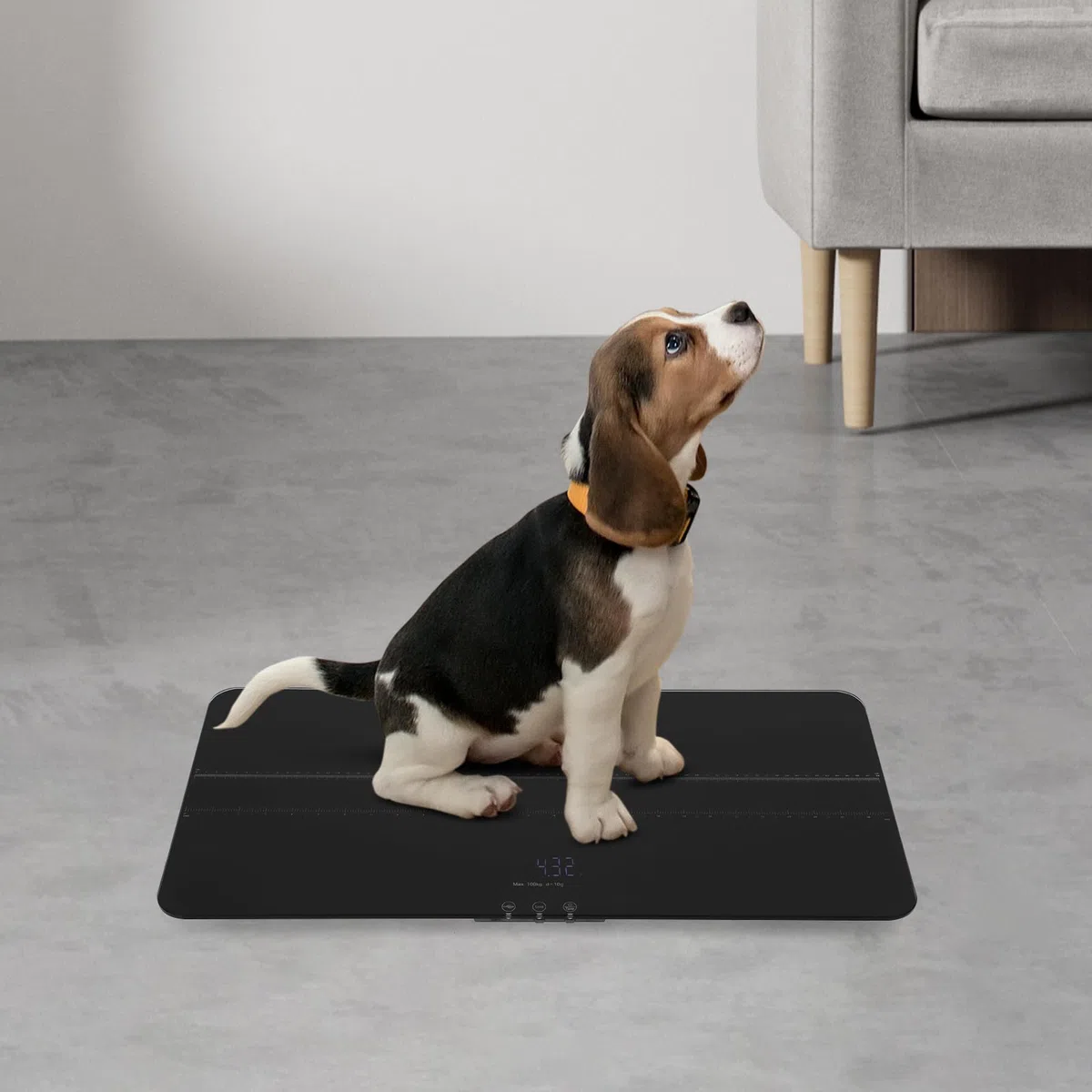 Digitale Haustierwaage bis 100kg/220Pfund, präzise Tierwaage 10 g Genauigkeit, große Plattform Hundewaage mit LED-Display & 3 Wiegemodi, für Hunde & Katzen, 69 x 33cm