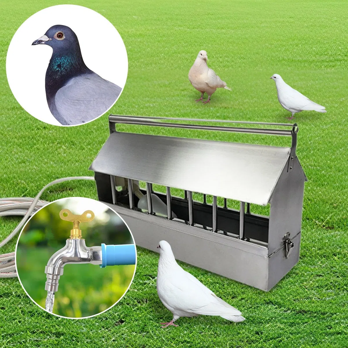 Milageto Automatischer Geflügeltränke, Geflügelbrunnen mit 2 m Schlauch, automatischer Wasserspender, Vogelbedarf für Tauben, Gänse, Frühlingshühner, 40cm