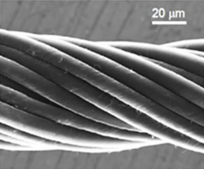 3,28 Fuß Kohlenstoff-Nanoröhren-Faserdraht – 60 µm Durchmesser, hohe Leitfähigkeit, anpassbares Verbrauchsmaterial for Laborforschung, 1 Stück