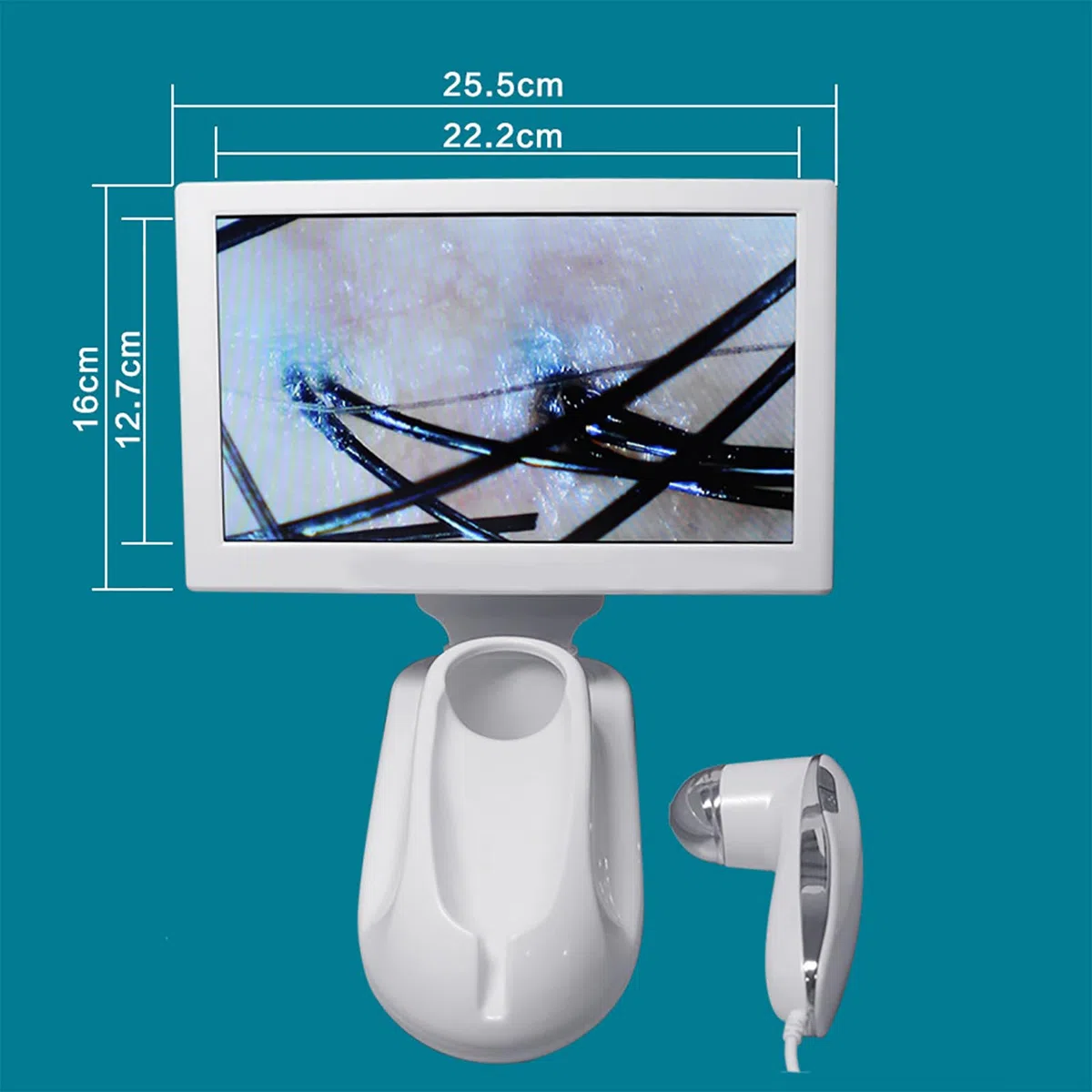 Haarfollikel-Analysegerät, Hautdiagnosegerät, 11-Zoll-HD-Display/200-fache Kopfhautlinse/Kann Fotos Aufnehmen Und Bilder Einfrieren, Um Verstopfte Poren Der Kopfhaut Zu Lösen
