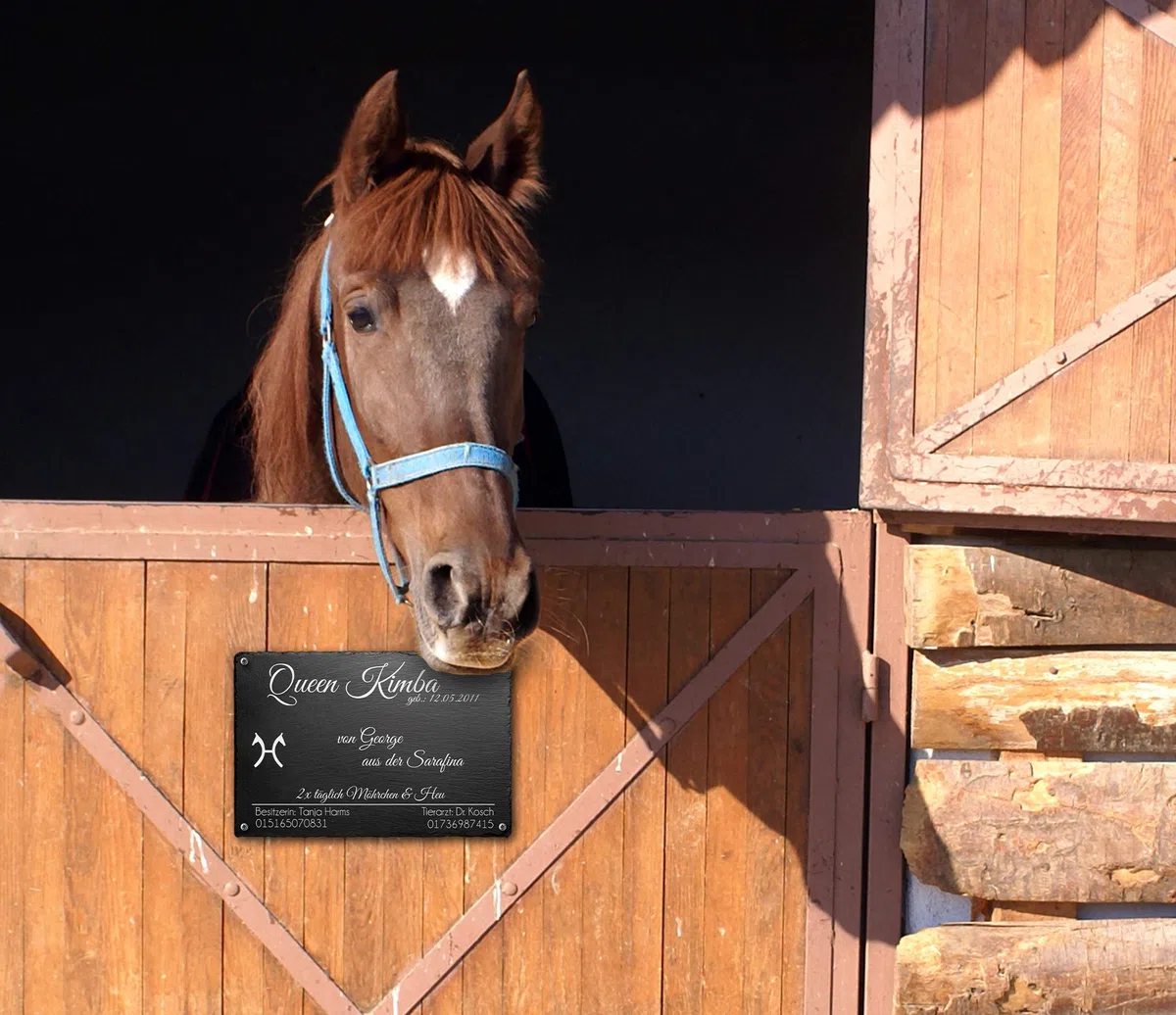 CHRISCK design Boxenschild Stallschild Pferdeschild aus Schiefer mit Fotogravur für Ihr Pferd