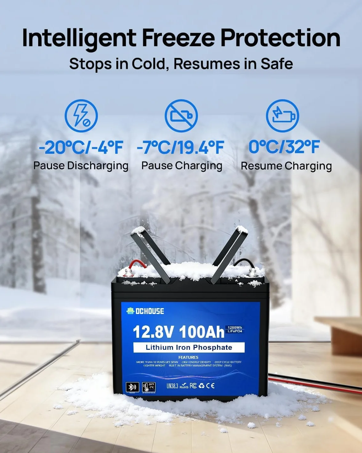 DCHOUSE 12V 100Ah LiFePO4 Lithium Batterie mit 10A Ladegerät, bis zu 15000 Deep Cycles für Schleppermotoren, Wohnmobile, Energiespeicher, Camper, Off-Grid