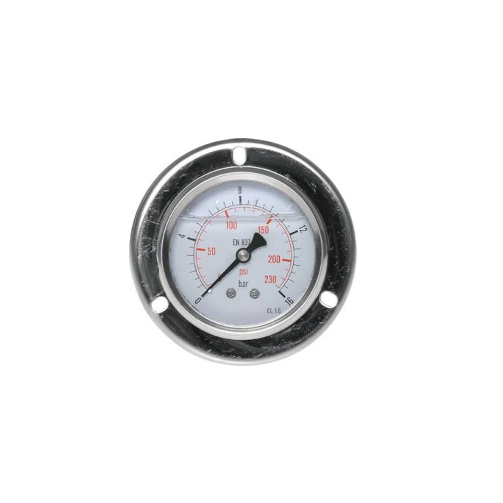 Ø63, Ø100 mm Glycerin-Einbaumanometer mit großem Frontring für Schalttafeleinbau, Eco-Line Druckluftmanometer (Ø100 mm / 0-100 bar)