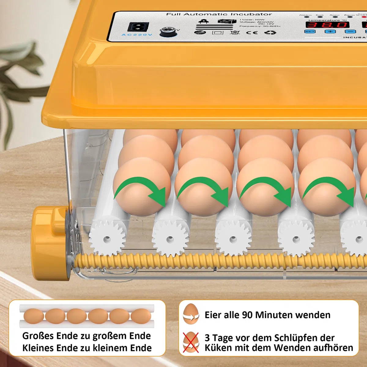 Brutautomat Vollautomatisch 36 Eier mit Temperaturregelung, Brutmaschine mit 5 automatischen Brutmodi, Inkubator Feuchtigkeitsanzeige, Brutkasten automatischer Wasserauffüllung und Eierwende