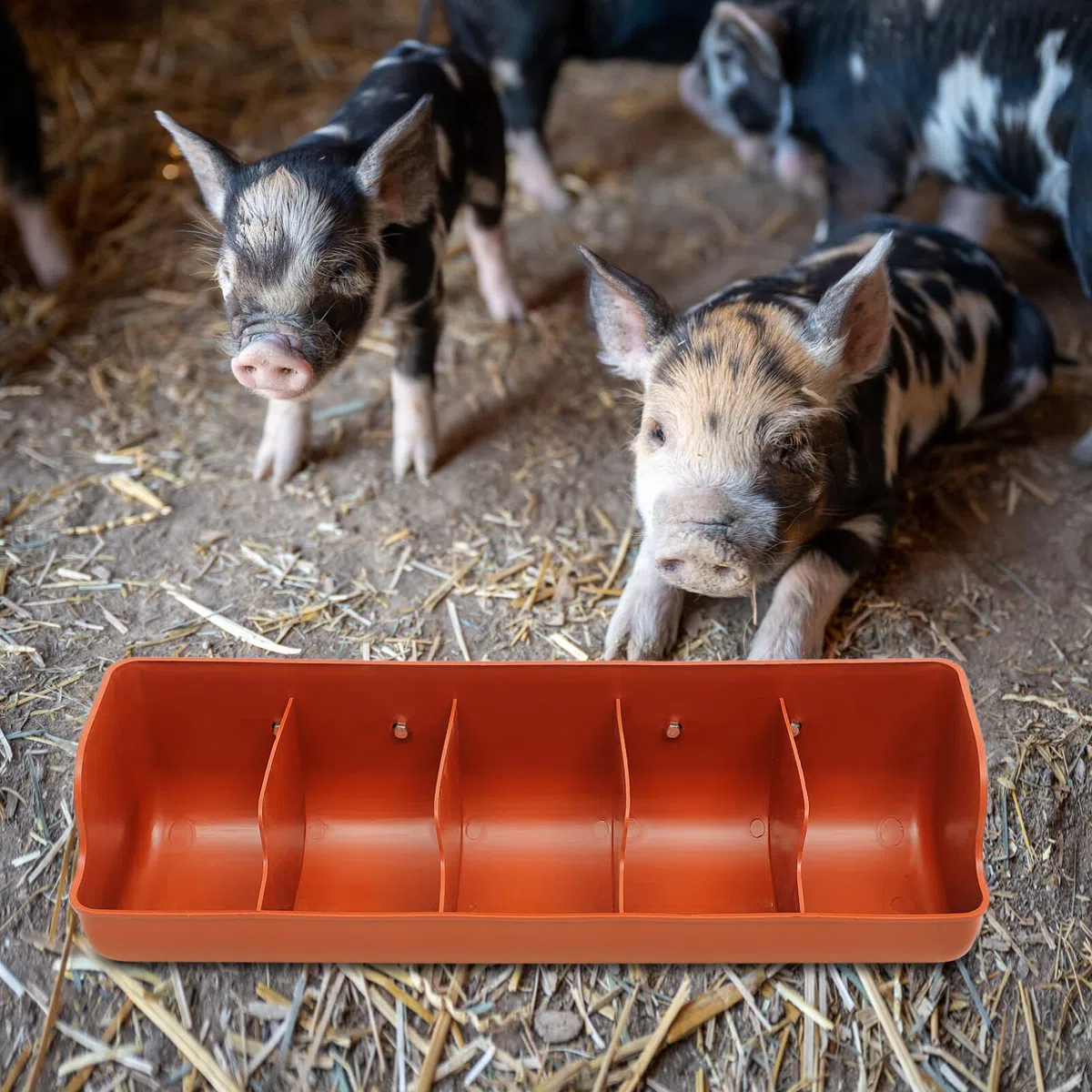 Happyyami Kaninchentränke Schweine Futterkrippe Futtertrog Futterspender Futterschale Futterautomat Futterbehälter Langtrog für Kälber Schafe Hühner Ente Ziege Schweine Vieh Orange