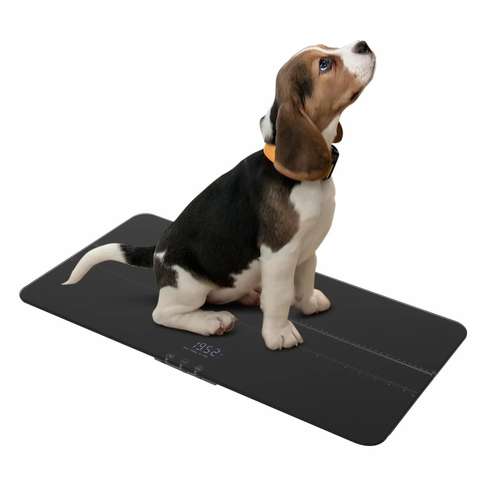 Digitale Haustierwaage bis 100kg/220Pfund, präzise Tierwaage 10 g Genauigkeit, große Plattform Hundewaage mit LED-Display & 3 Wiegemodi, für Hunde & Katzen, 69 x 33cm