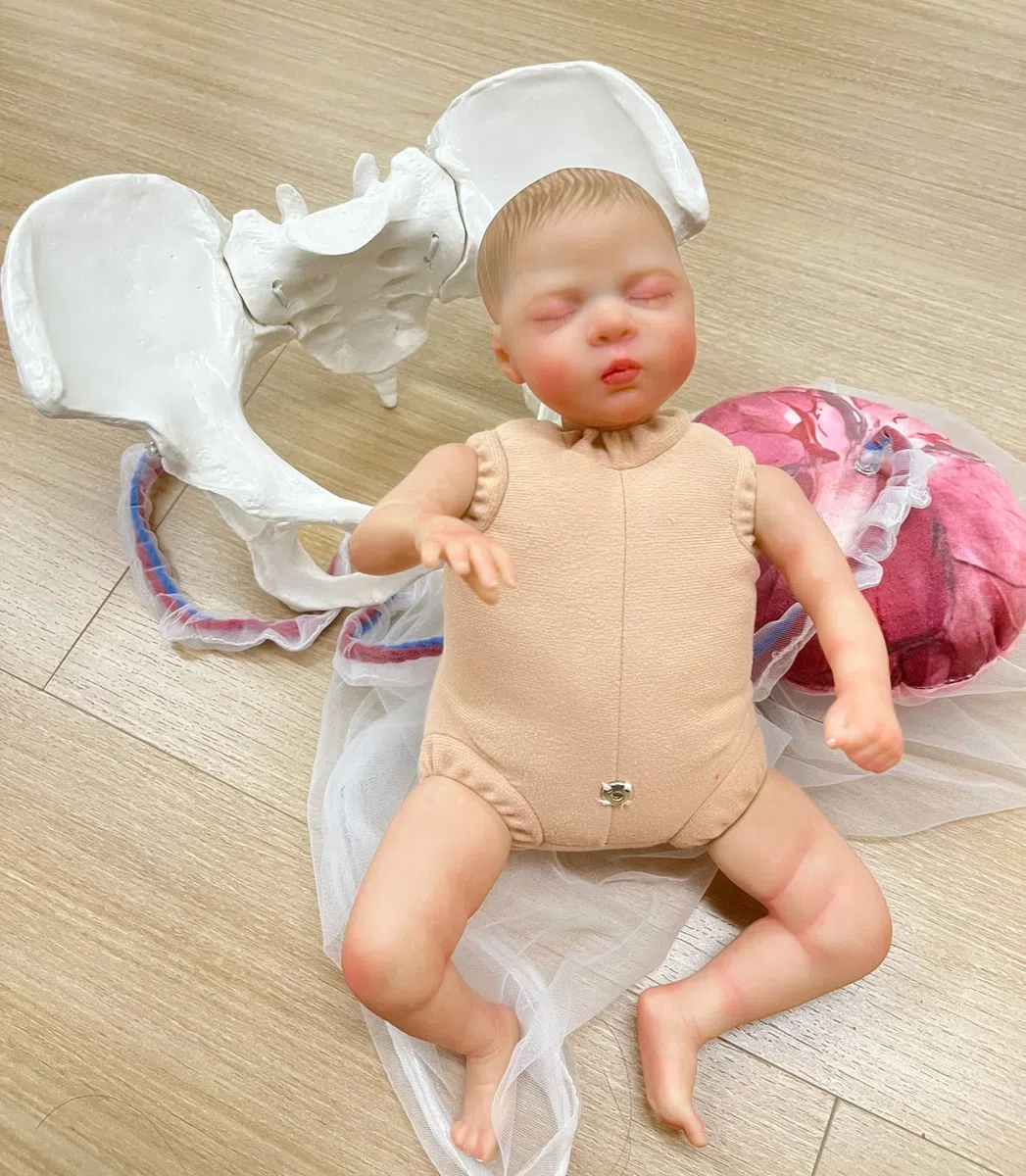Weibliches Geburtsmodell Für Hebammen Mit Baby Modell Inkl Nabelschnur,Plazenta Und Beckenboden Modell Für Geburtshilfe Und Schulung in Der Weibliche Pelvis Geburtstagsmodell(B)