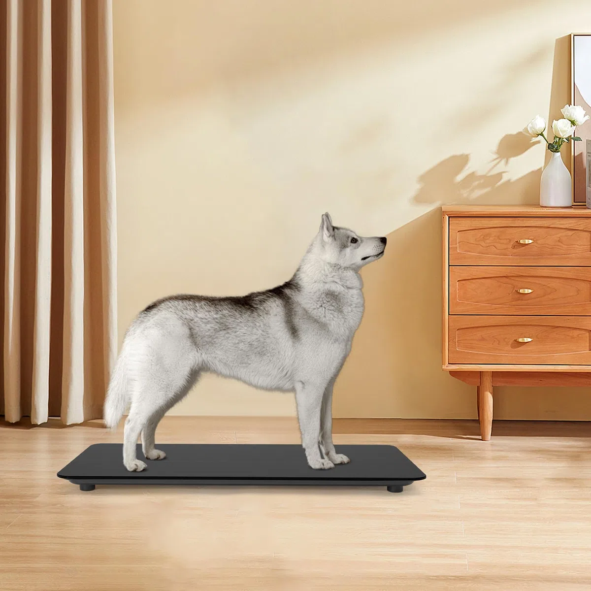 Digitale Haustierwaage bis 100kg/220Pfund, präzise Tierwaage 10 g Genauigkeit, große Plattform Hundewaage mit LED-Display & 3 Wiegemodi, für Hunde & Katzen, 69 x 33cm