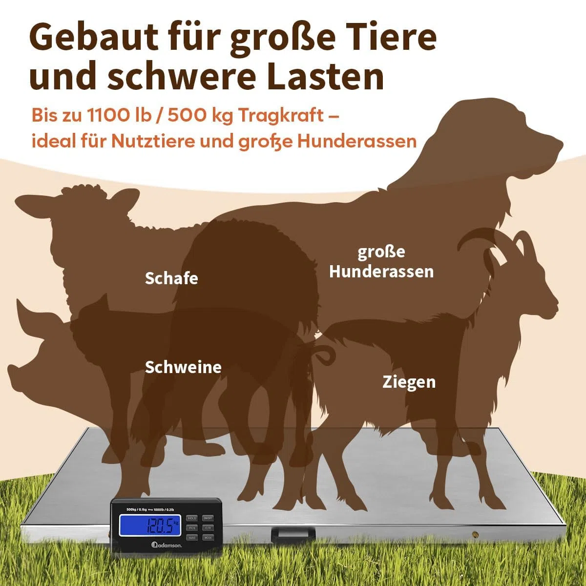 Adamson Tierwaage 500 kg – Digitale Plattformwaage & Hundewaage für große Hunde, Schafe, Ziegen & Schweine – Präzise Viehwaage mit Tare, Hold & PCS – Batteriebetrieb oder Netzteil