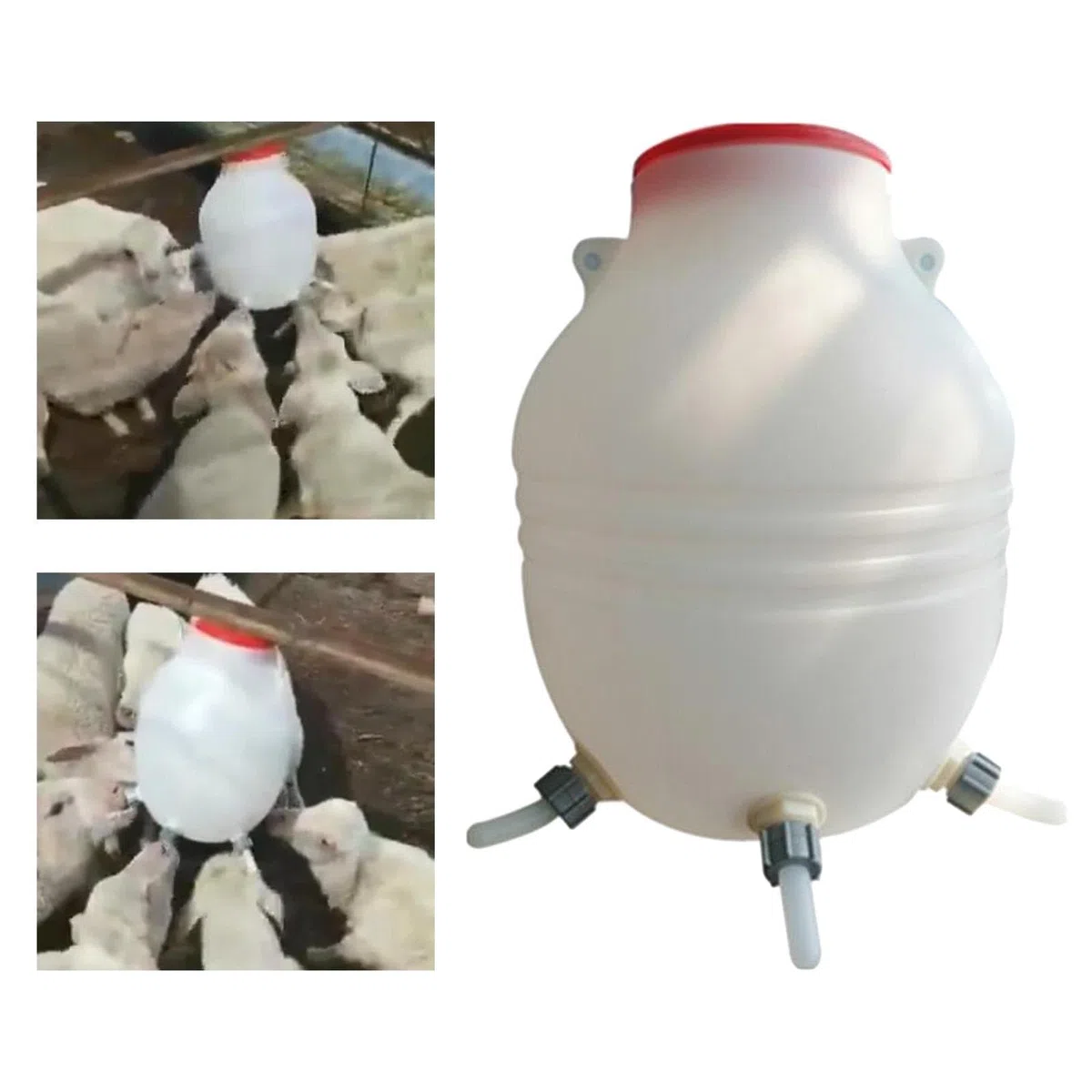 Lämmermilch Aufzuchtflasche Verdickte 8-Liter-Milchflasche for Lämmer und Schafe mit 6 Saugern for Ferkel Babynahrung auf dem Bauernhof