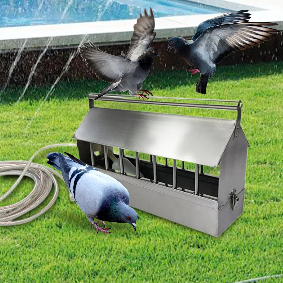 Milageto Automatischer Geflügeltränke, Geflügelbrunnen mit 2 m Schlauch, automatischer Wasserspender, Vogelbedarf für Tauben, Gänse, Frühlingshühner, 40cm
