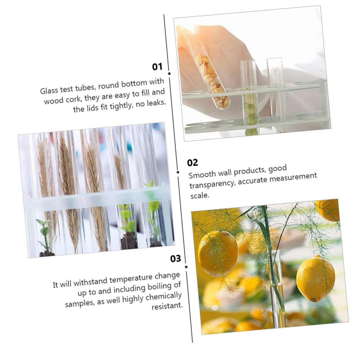 Cabilock 10 Sätze Reagenzglas Aus Probenbehälter Mit Deckel Klein Chemie Experimente Bissn Glasvasen Links Zubehör Für Laborreagenzgläser Durchsichtige Reagenzgläser Hölzern 10 Stück * 10