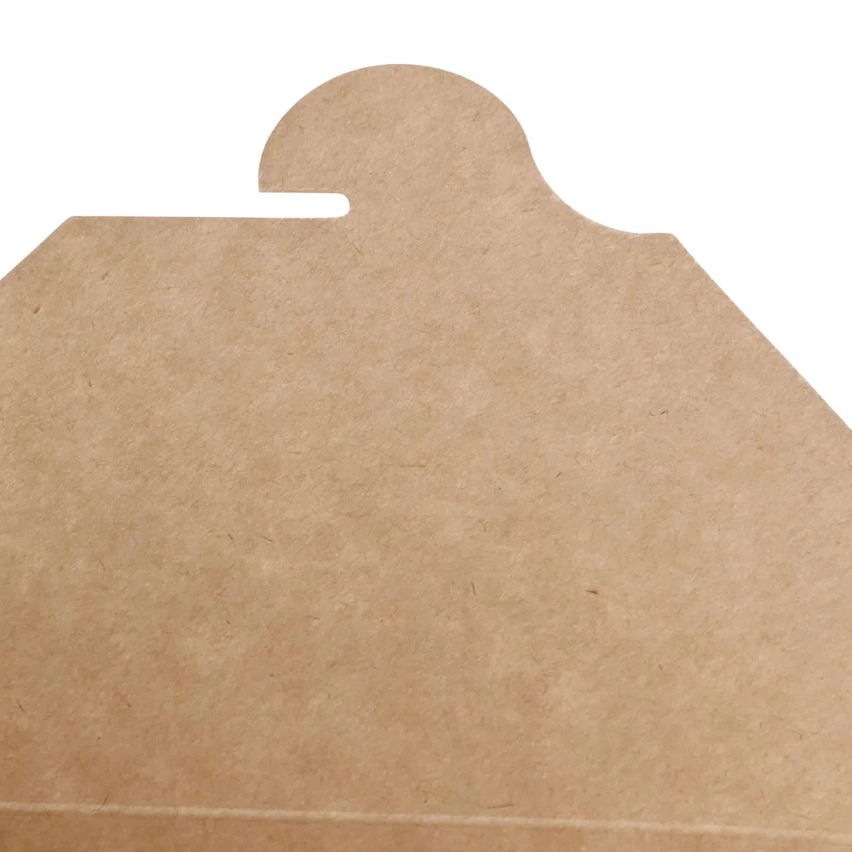 BIOZOYG Take Away Box Essen 160 Stück 2500 ml Kraftkarton Braun - Lunchbox Faltbare Deckel PE beschichtet - Snackbox Einwegschalen Karton Pappschalen Nudelbox Speisebox für Essen Ramen, Nudeln To Go