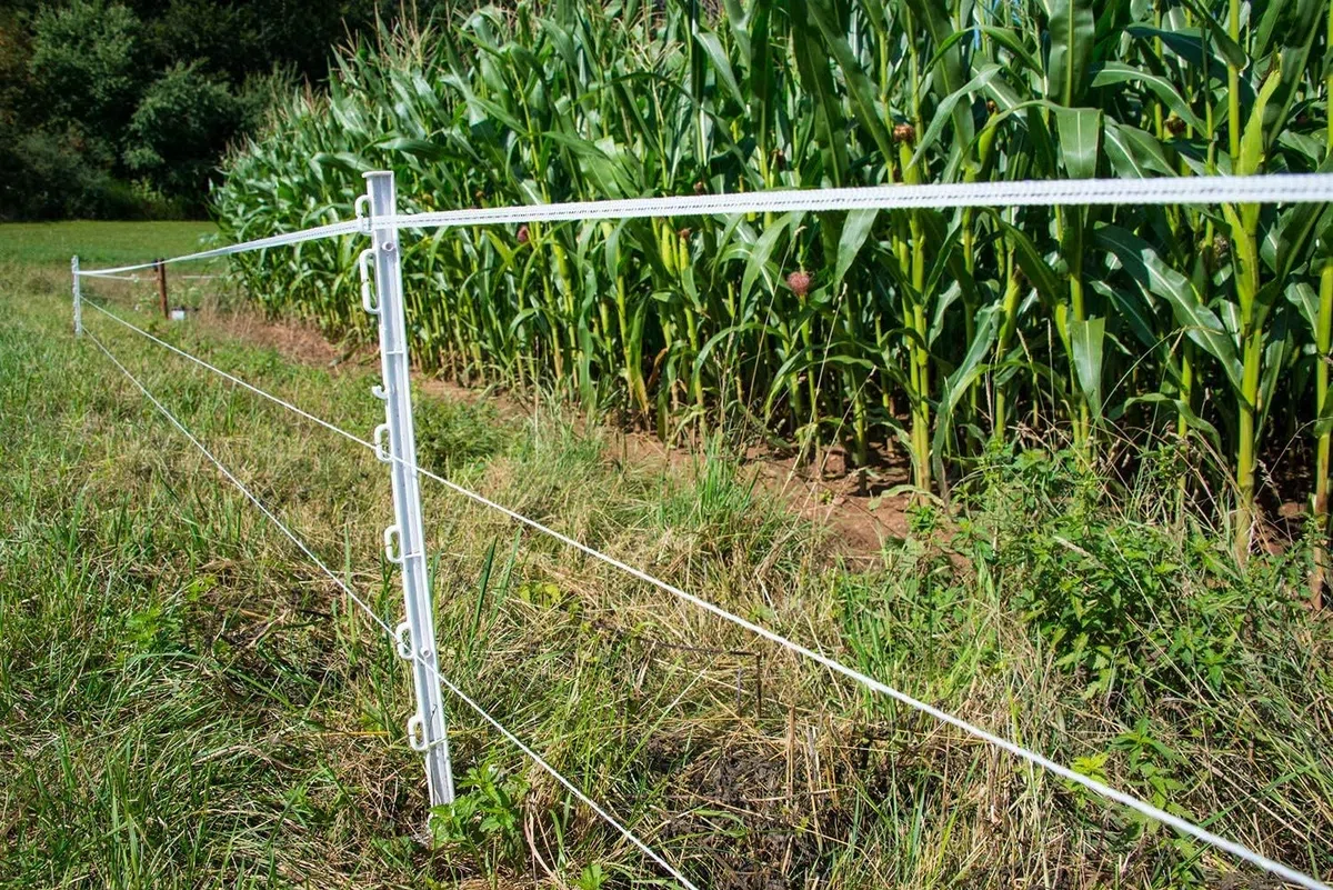 horizont Weidezaunpfähle Kunststoff 20 Stück weiß, Höhe 136cm, Einzeltritt, Kunststoffpfahl mit Ösen für Bänder, Seile, Litzen, Weidezaunpfahl Kunststoffpfahl Weidezaun
