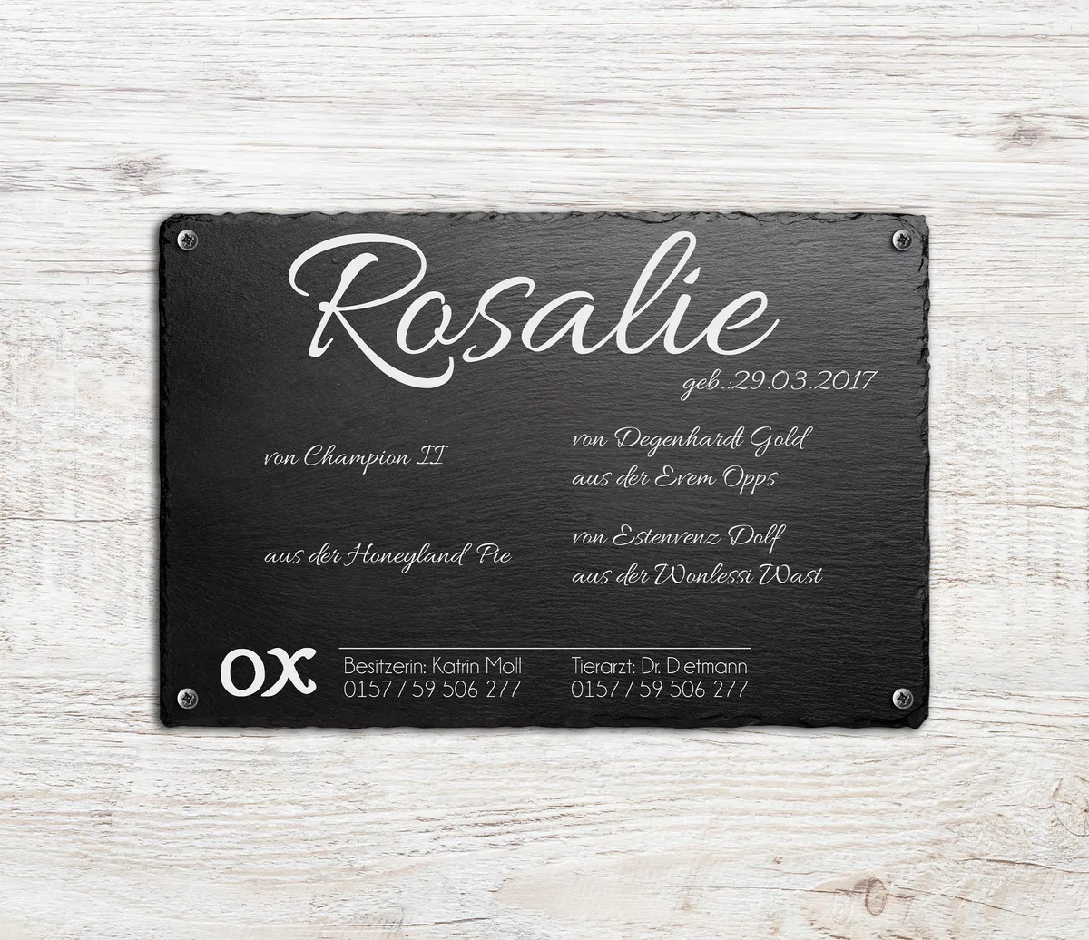 CHRISCK design Boxenschild Stallschild Pferdeschild aus Schiefer mit Fotogravur für Ihr Pferd