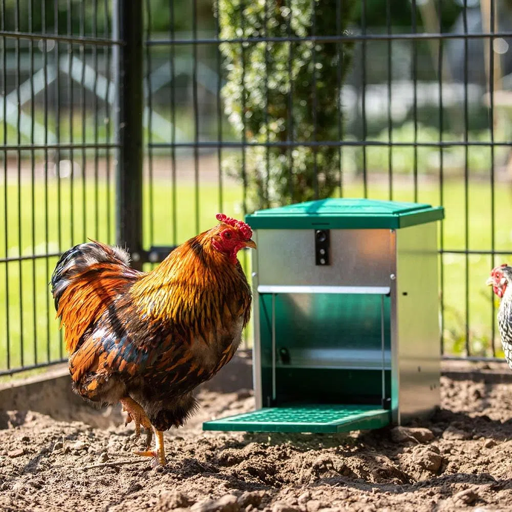 Futterautomat Feedomatic 8kg mit Trittplatte für 8kg Futter, Geflügel-Futterautomat, Hühnertrog, Futtertrog